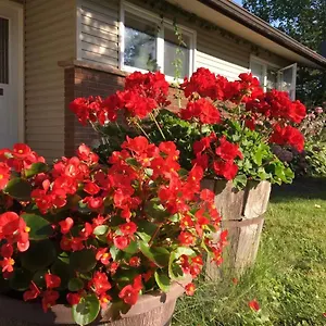 Graham Homestay Ottawa
